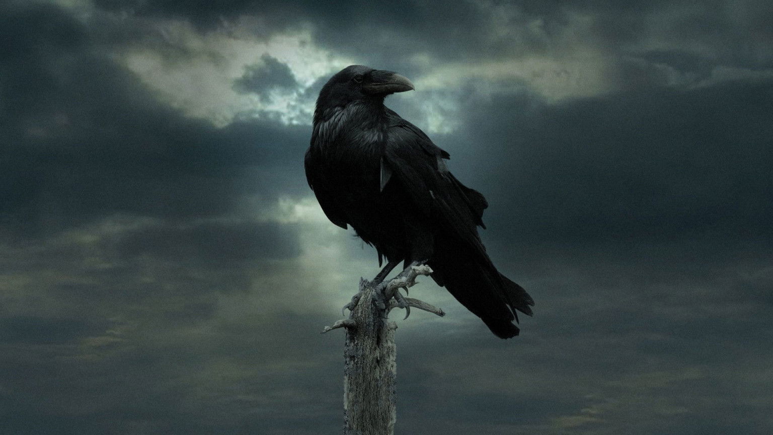Makers 'Game of Thrones' werken aan nieuwe sciencefictionserie voor Netflix