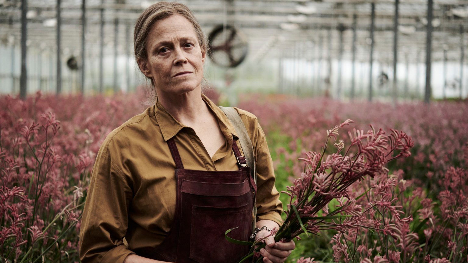 Sigourney Weaver schittert op eerste beelden van dramaserie 'The Lost Flowers of Alice Hart'