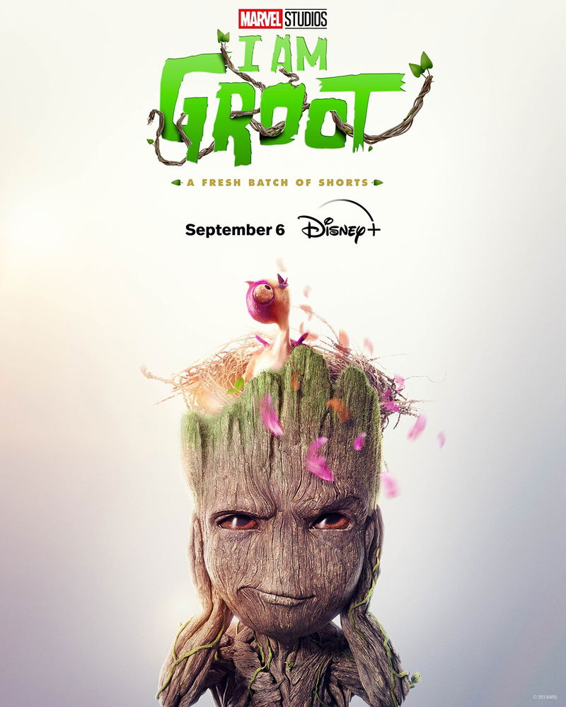 Afbeelding via Disney+ / Marvel Studios