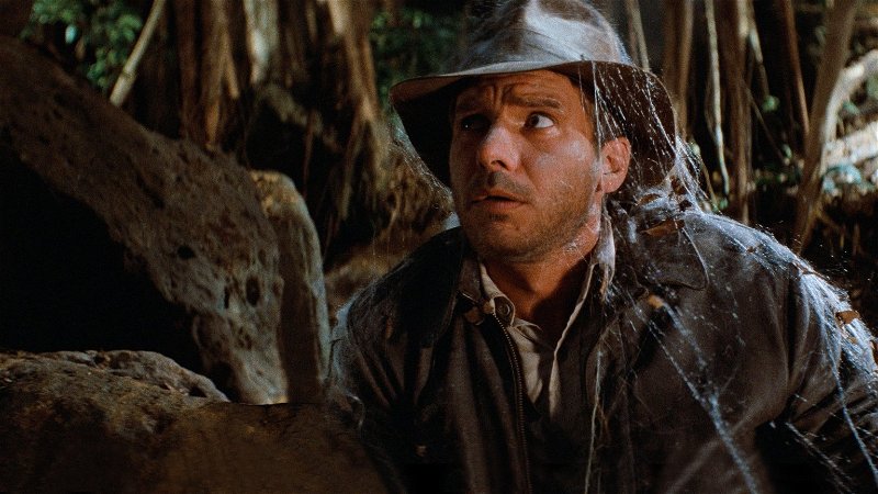 Nieuwe slangensoort vernoemd naar 'Indiana Jones'-ster Harrison Ford