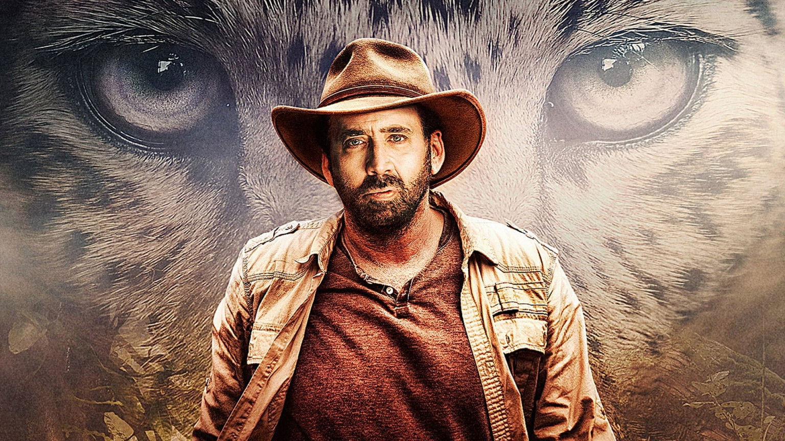 'Tiger King'-serie met Nicolas Cage als Joe Exotic komt naar Amazon