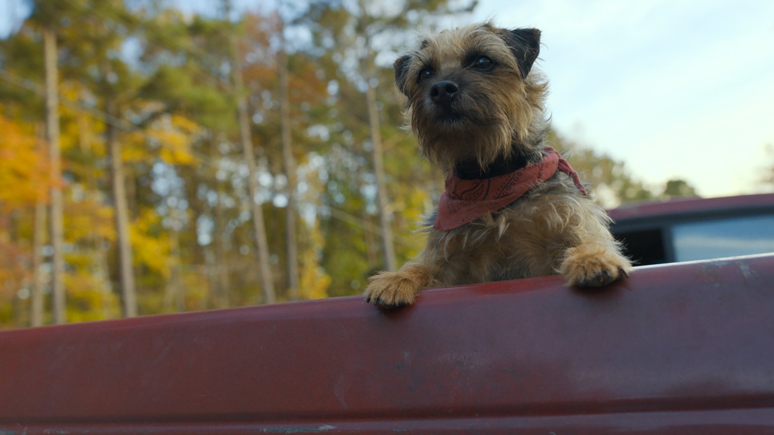 Eerste reacties 'Doggy Style' beloven 'brutaal grappige komedie'