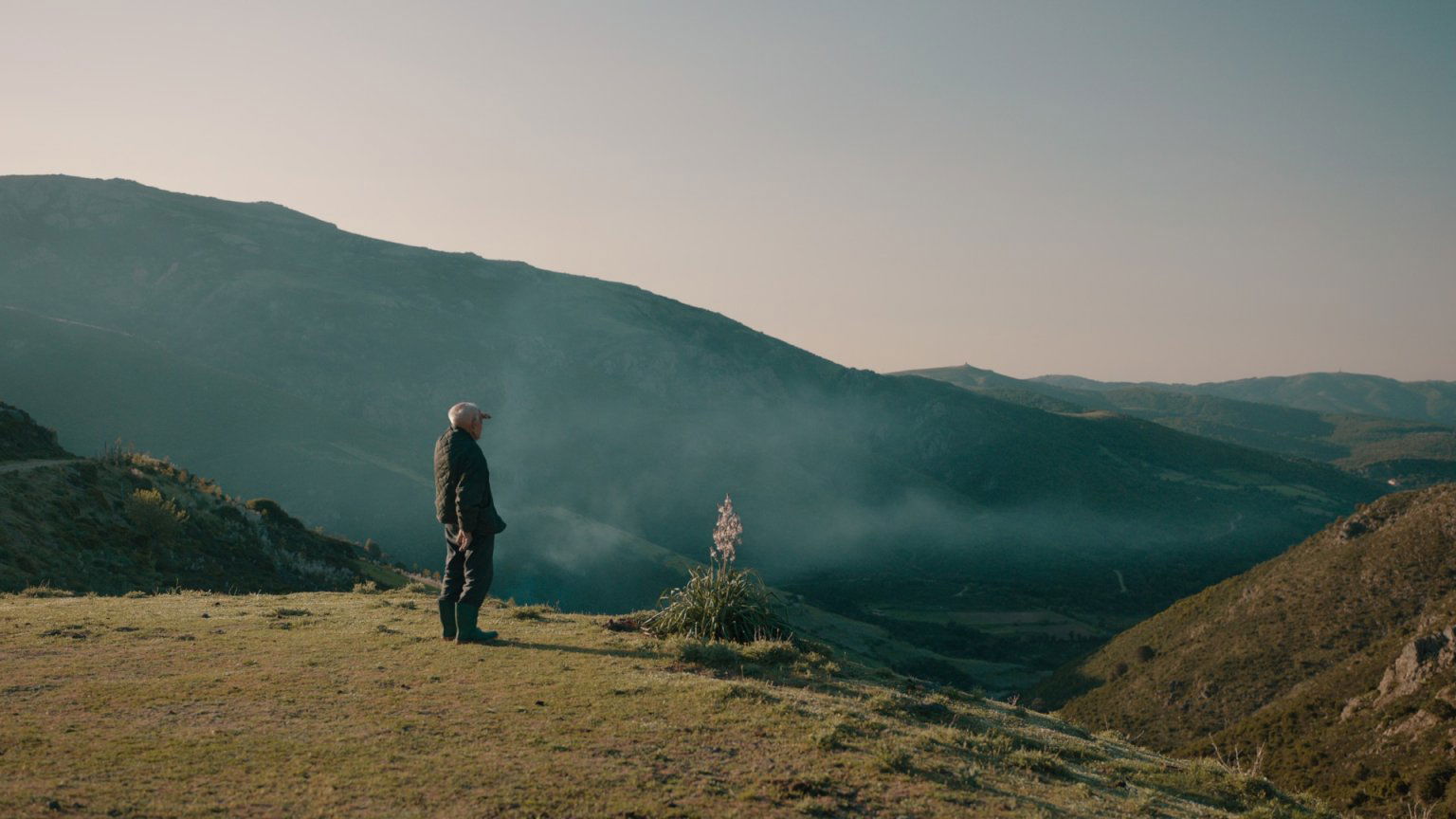 'Fascinerende' nieuwe docuserie schiet megahoog Netflix top 10 binnen