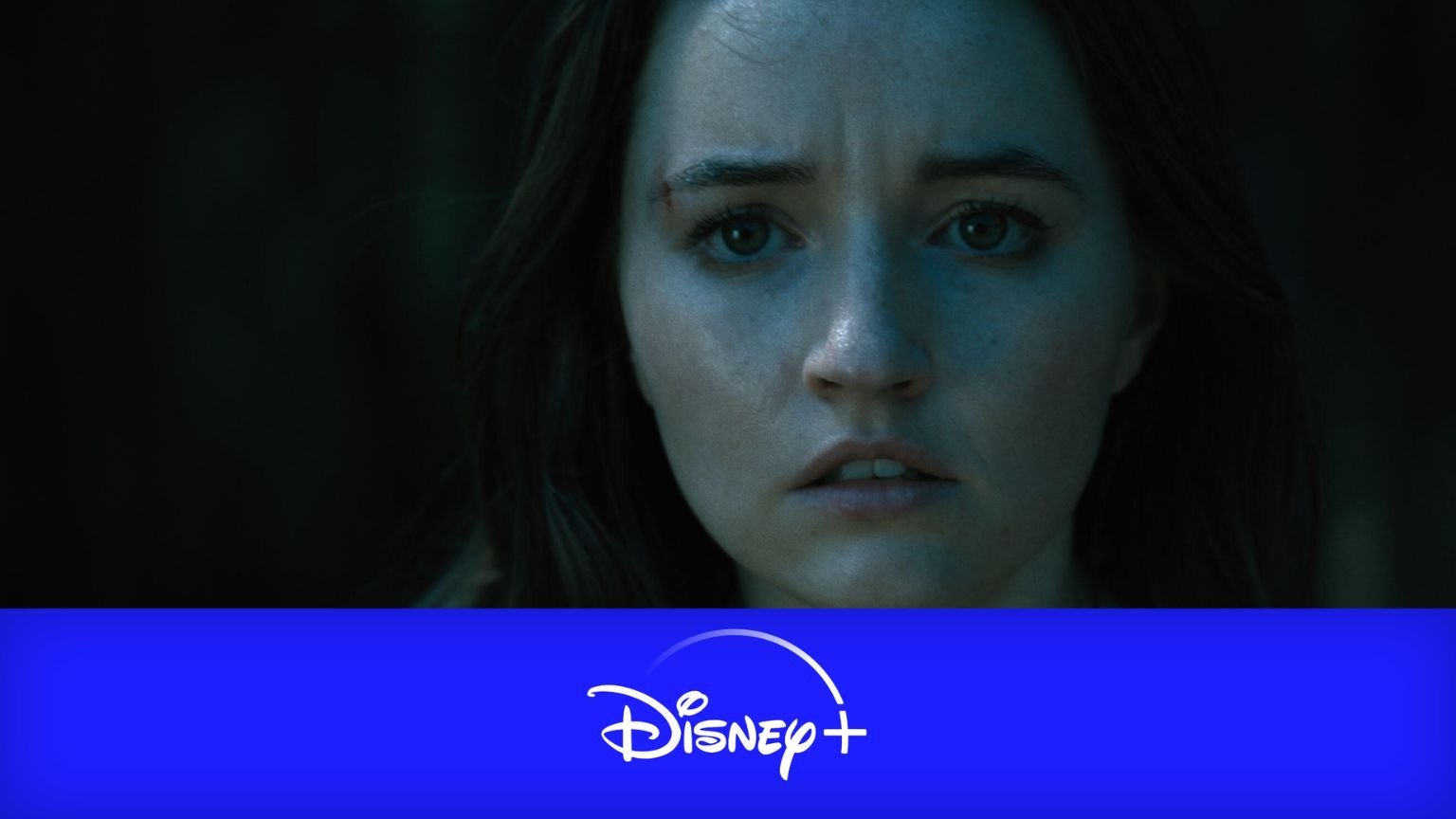 Dit zijn de beste nieuwe films & series op Disney+ (week 38, 2023)