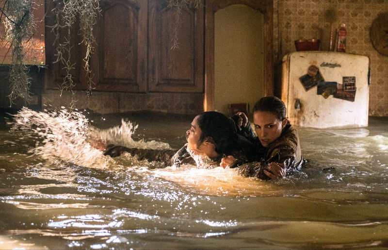 Still 'Annihilation' via Netflix