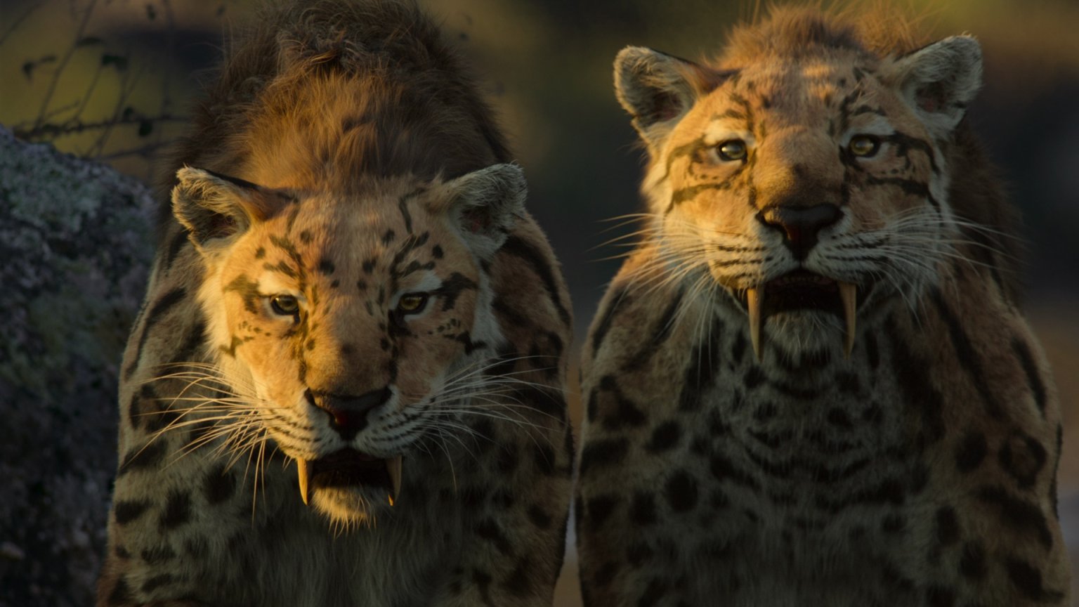 'Life on Our Planet' op Netflix: eerste veelbelovende beelden gedeeld