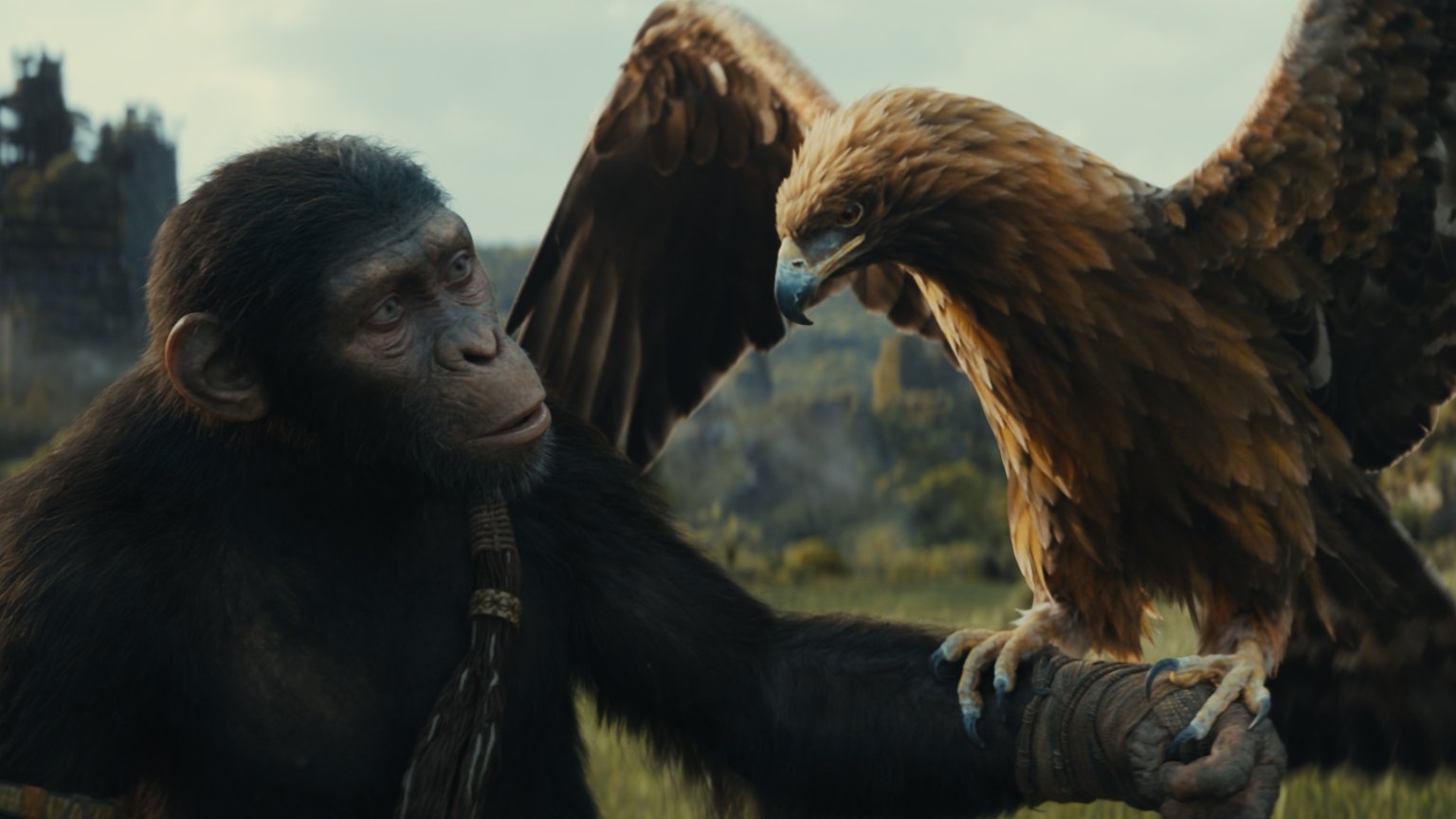 'Kingdom of the Planet of the Apes' teasertrailer: nieuwe apenleider betreedt het toneel