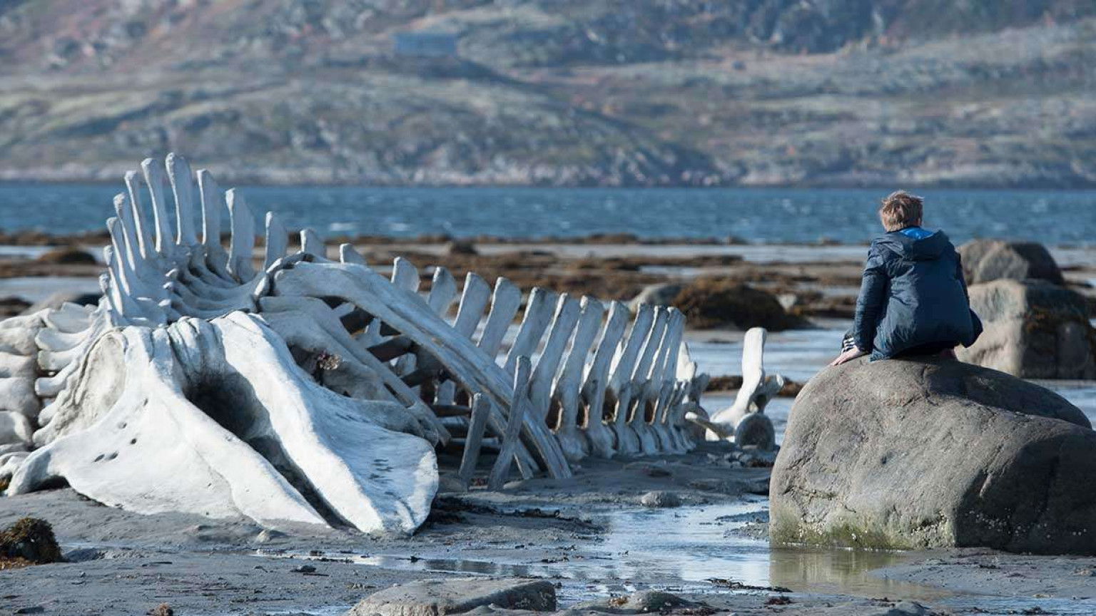Recensie 'Leviathan'