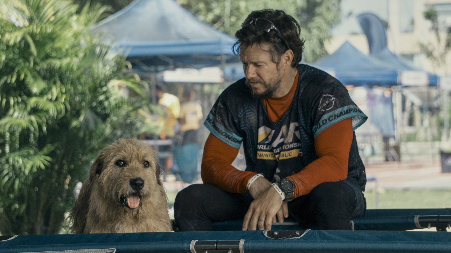 'Arthur the King' trailer: Mark Wahlberg sluit een bijzondere vriendschap in avontuurlijk drama