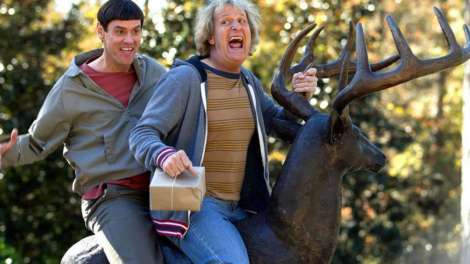 Recensie 'Dumb and Dumber To'