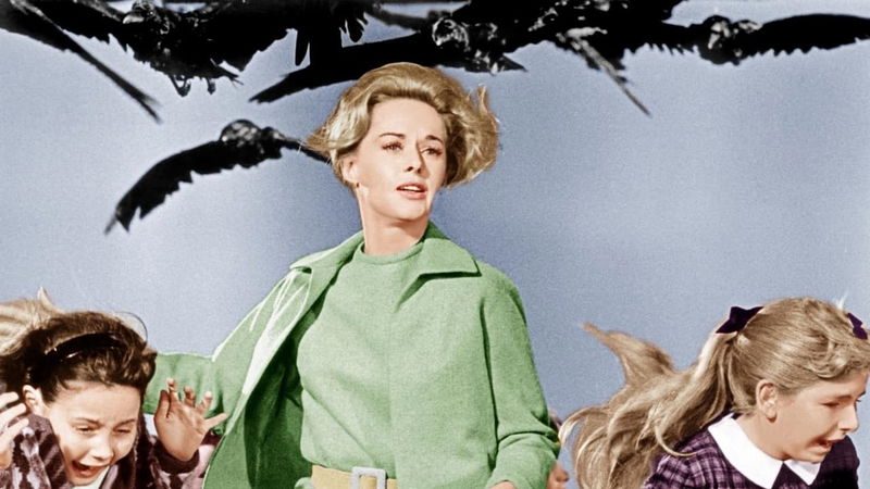 Still 'The Birds' via TMDb