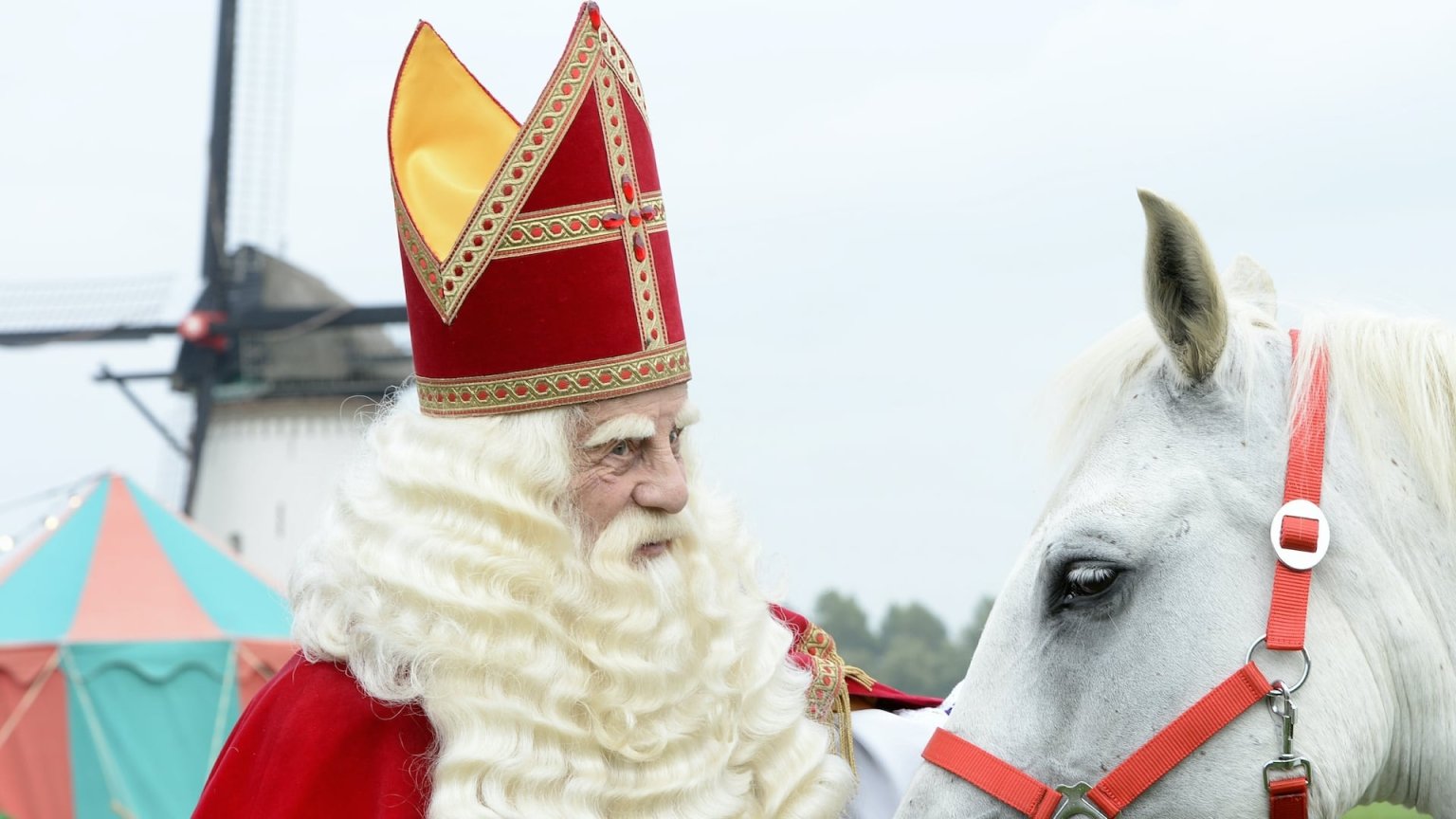 Sinterklaas op de streamingdiensten: waar kijk je welke familiefilms?