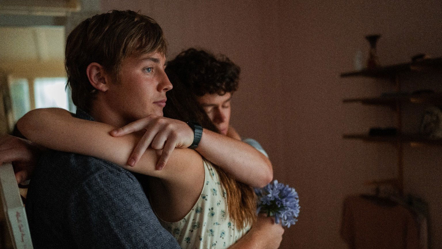 Komt er een seizoen 2 van 'Boy Swallows Universe' op Netflix?