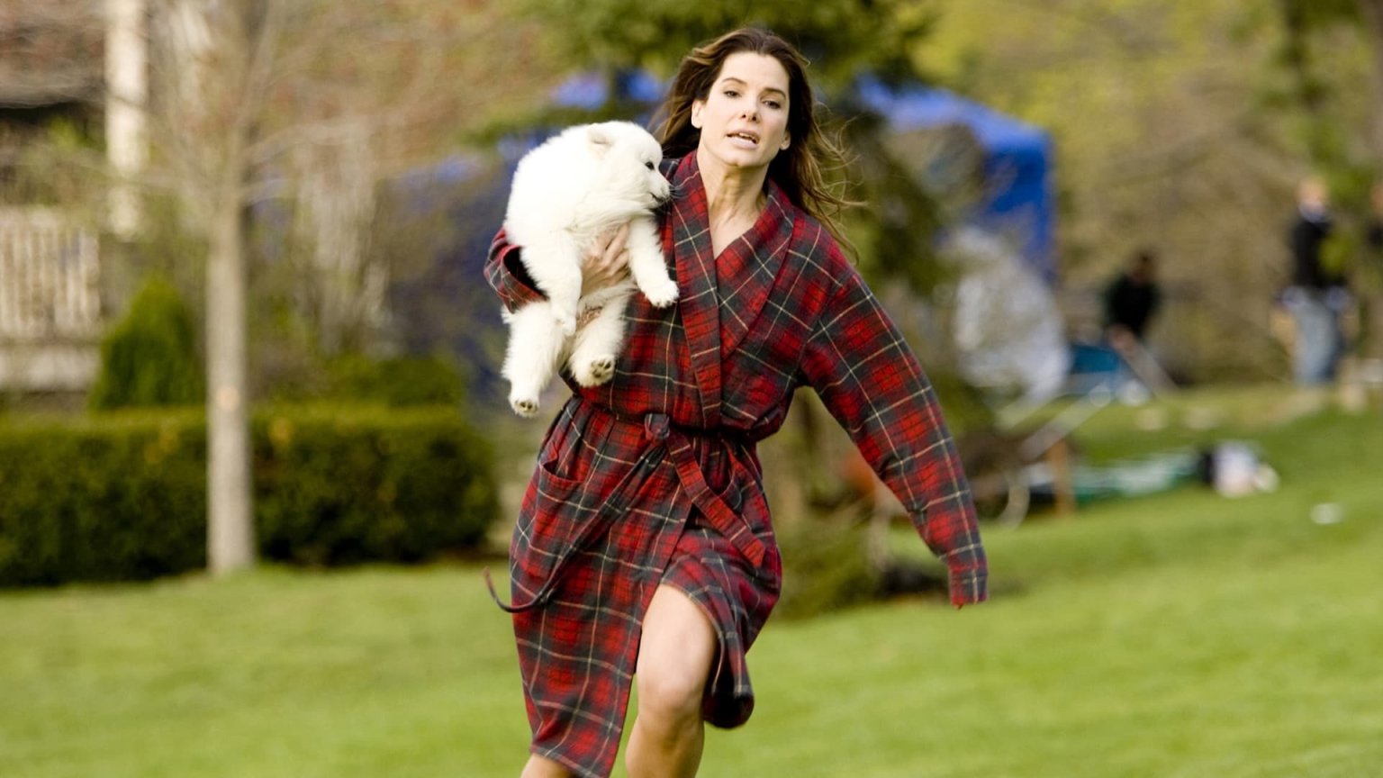 Sandra Bullock verovert Netflix met geestige romcom