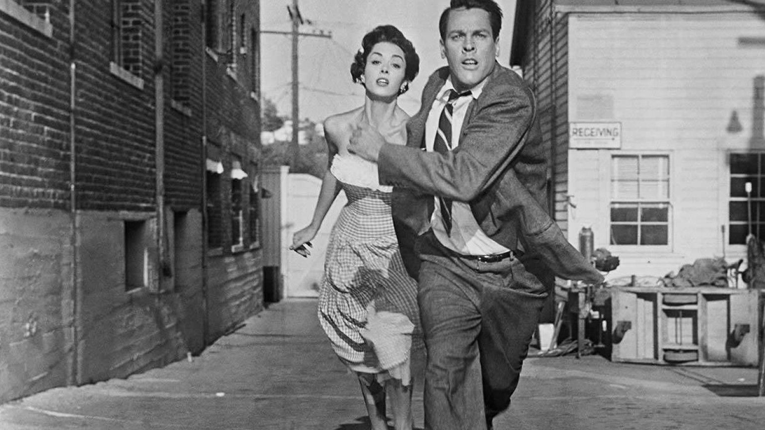 Recensie 'Invasion of the Body Snatchers'