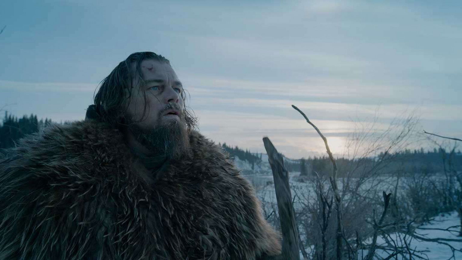 Recensie 'The Revenant'