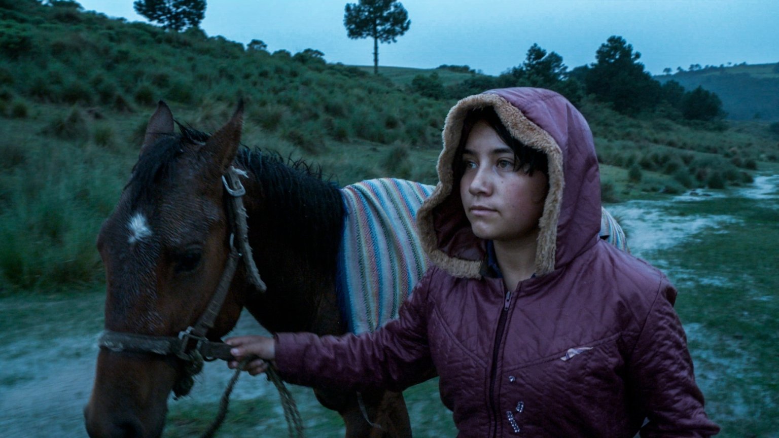 Recensie 'El Eco'
