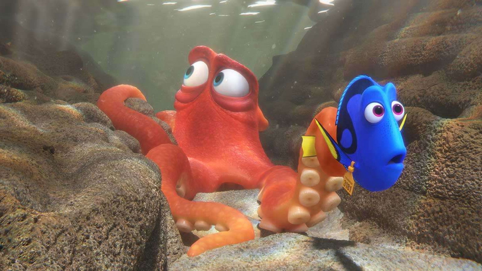 Recensie 'Finding Dory'