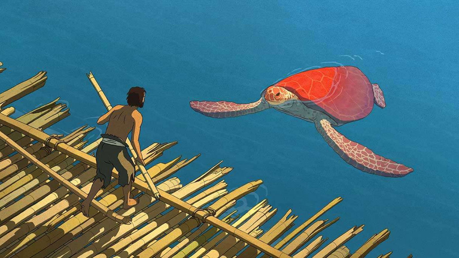 Recensie 'The Red Turtle'