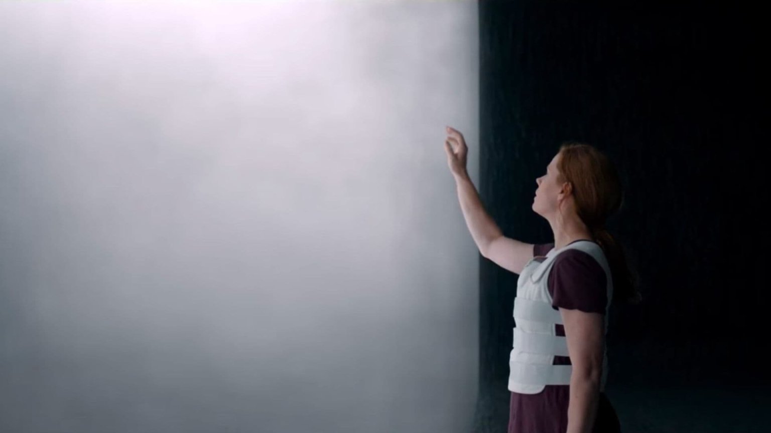 Netflix-abonnees in de ban van sci-fi van 'Dune'-regisseur: 'Verbluffend!'