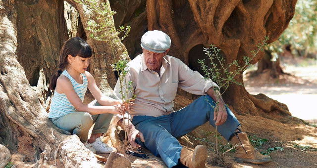 Recensie 'El olivo'
