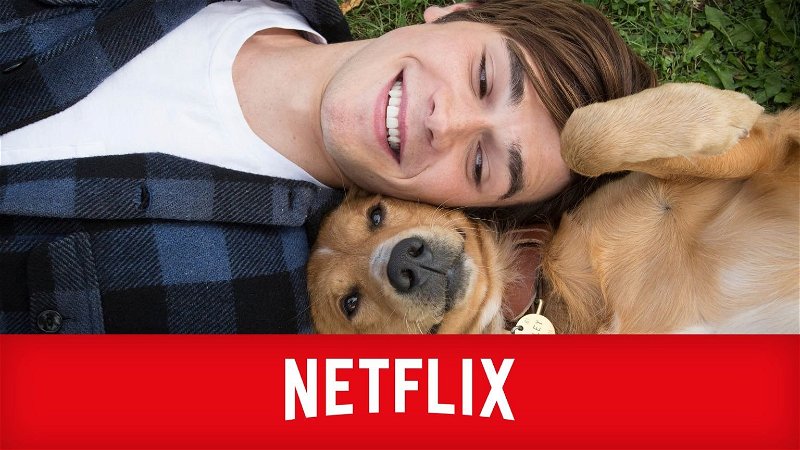 De 5 beste nieuwe films op Netflix (week 17, 2024)