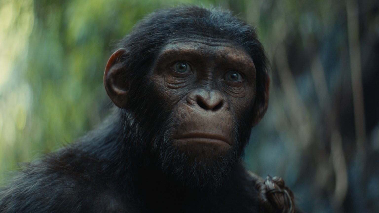 Deze 7 films zijn vanaf deze week nieuw in de bioscoop (week 19, 2024)