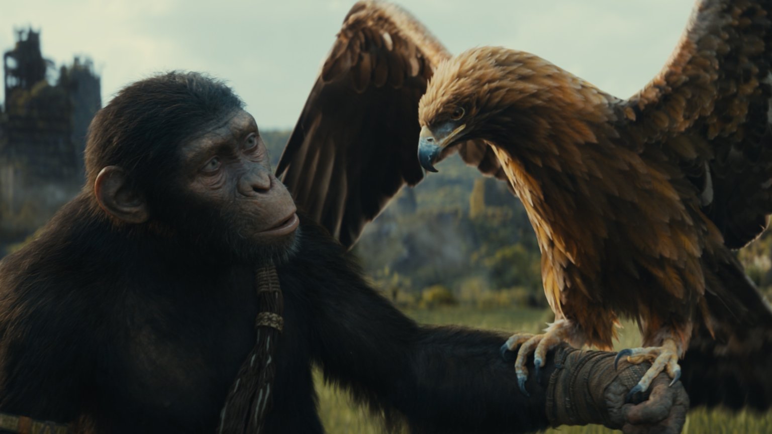 De top 10 populairste films nu in de bioscoop