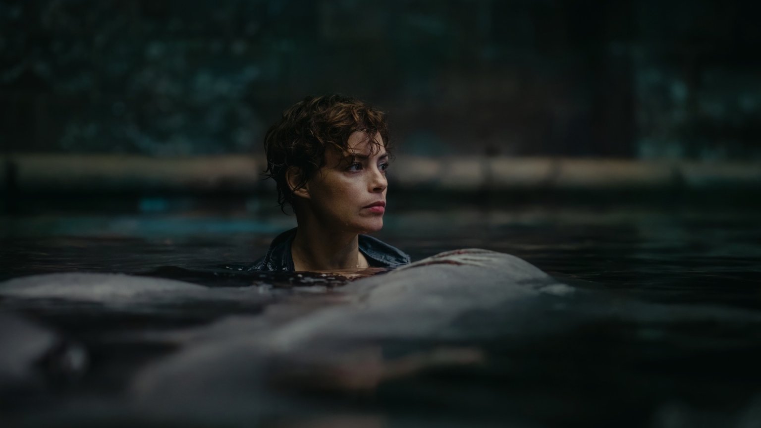 Netflix deelt nieuwe beelden van horrorfilm over bloeddorstige haai in Parijs