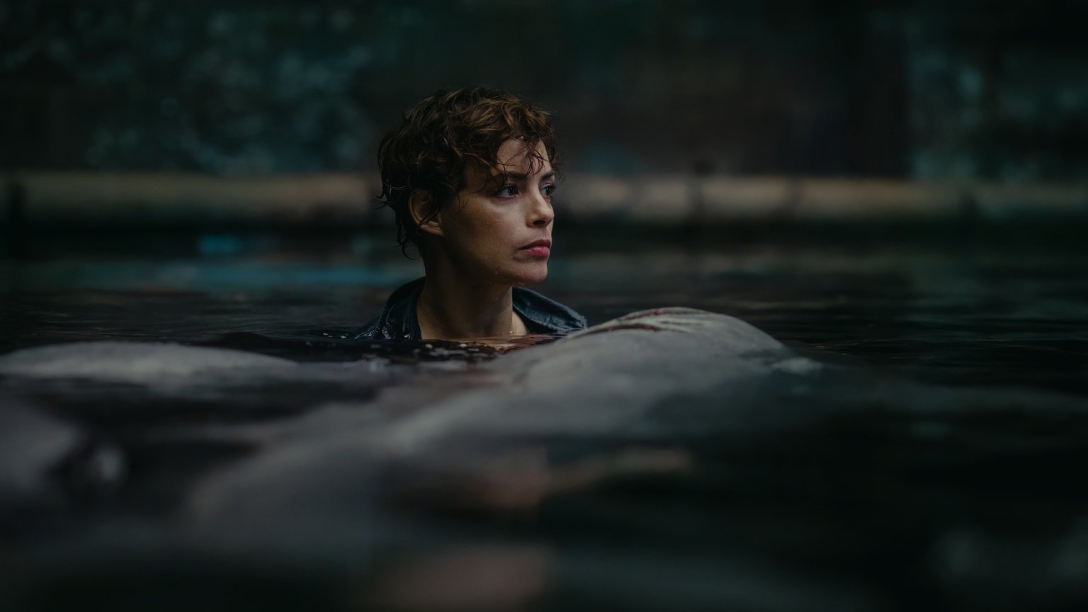 Nieuwe haaienfilm een wereldwijd fenomeen op Netflix: 40 miljoen kijkers in eerste week