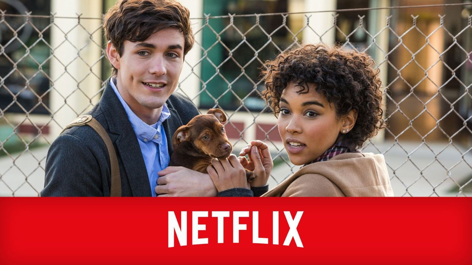 Netflix voegt vandaag 15+ films toe: dit zijn de 10 beste