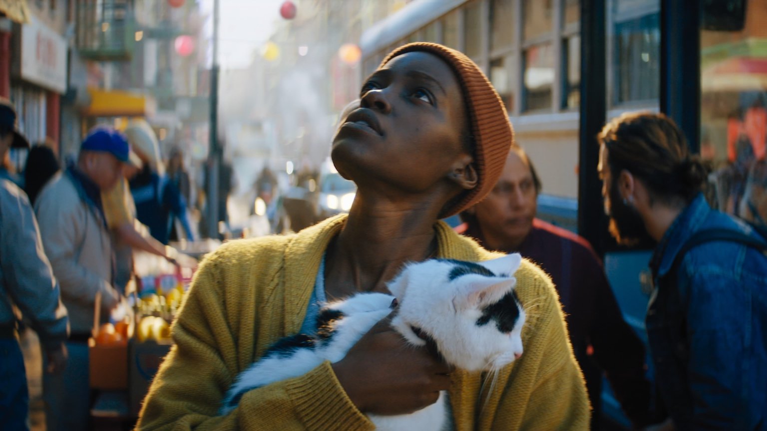 De top 10 populairste films nu in de bioscoop