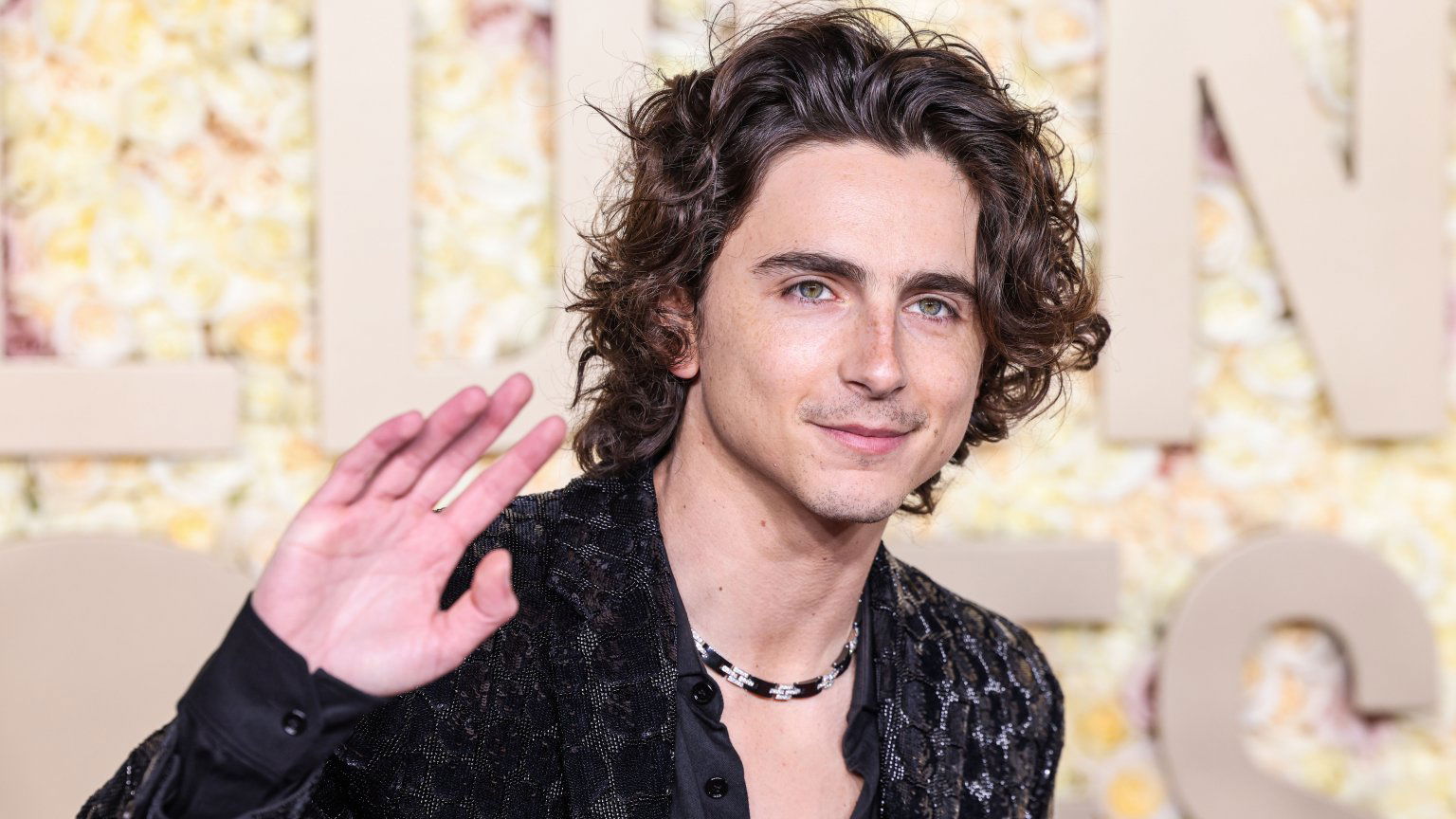 Timothée Chalamet scoort hoofdrol in nieuwe A24-film over pingpongprof