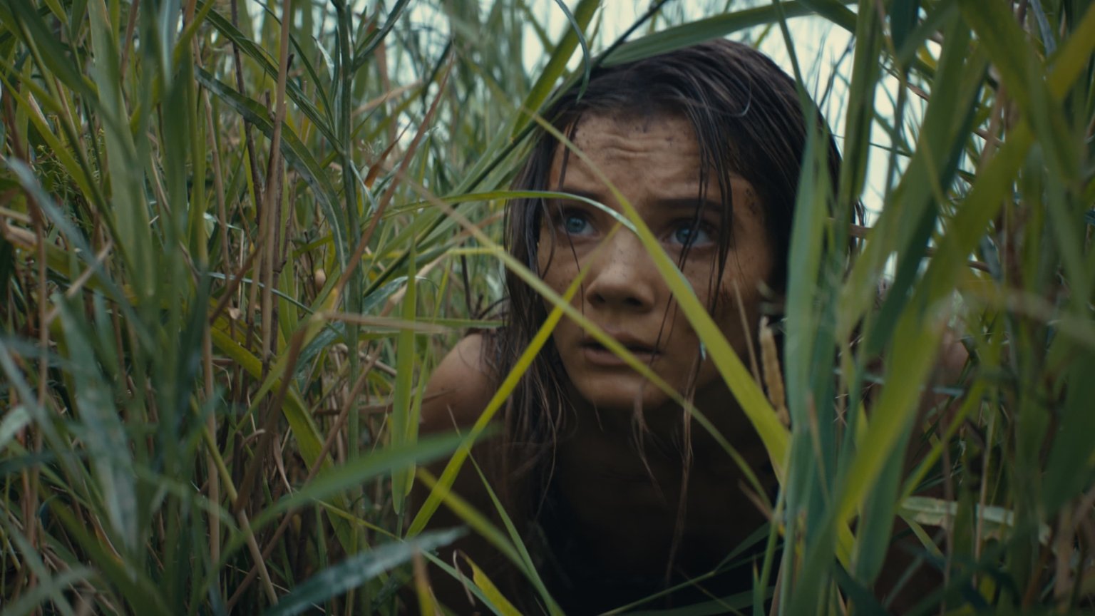 De top 10 populairste films nu op Pathé Thuis (week 29, 2024)