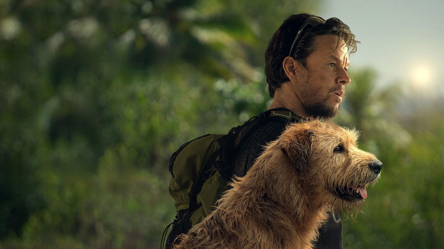 Avontuurlijke hondenfilm met Mark Wahlberg vanaf vandaag te streamen