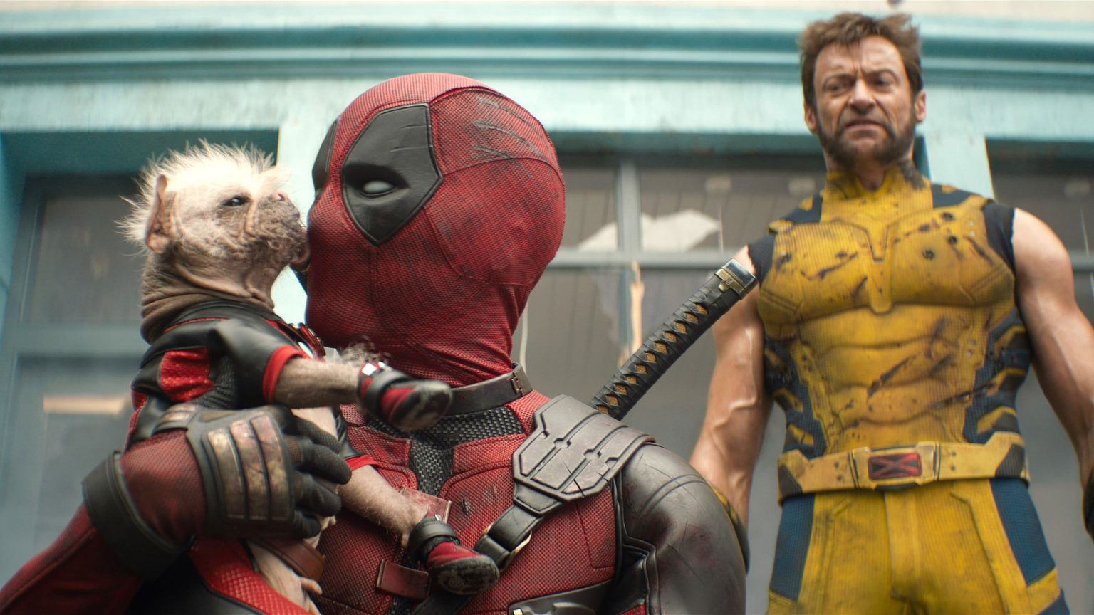 De top 10 populairste films nu in de bioscoop