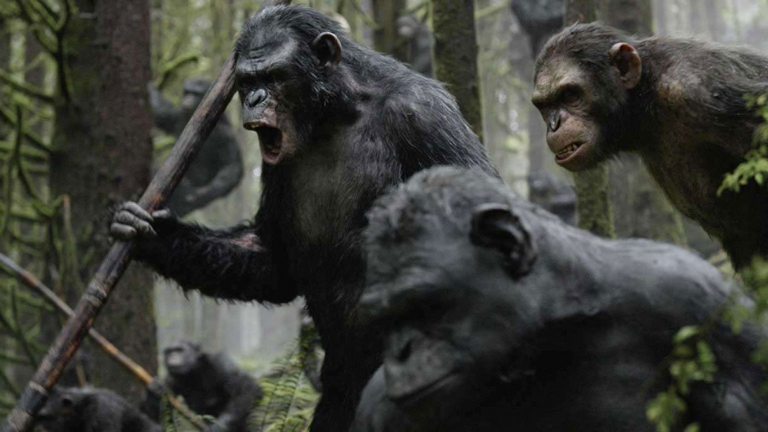 Recensie 'Dawn of the Planet of the Apes'