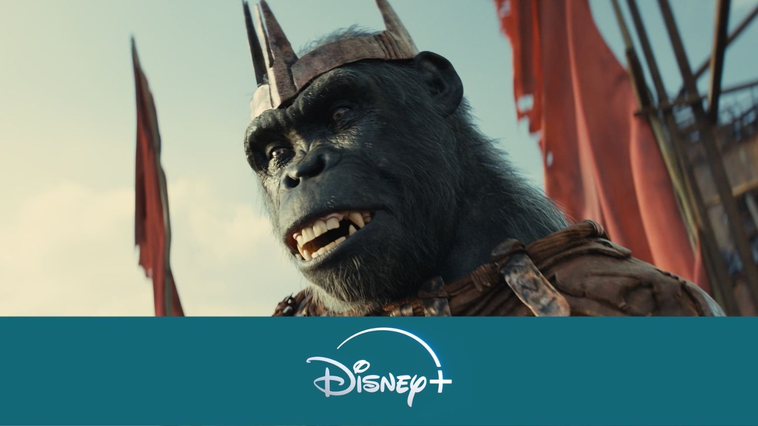 Dit zijn de beste nieuwe films & series op Disney+ (week 31, 2024)