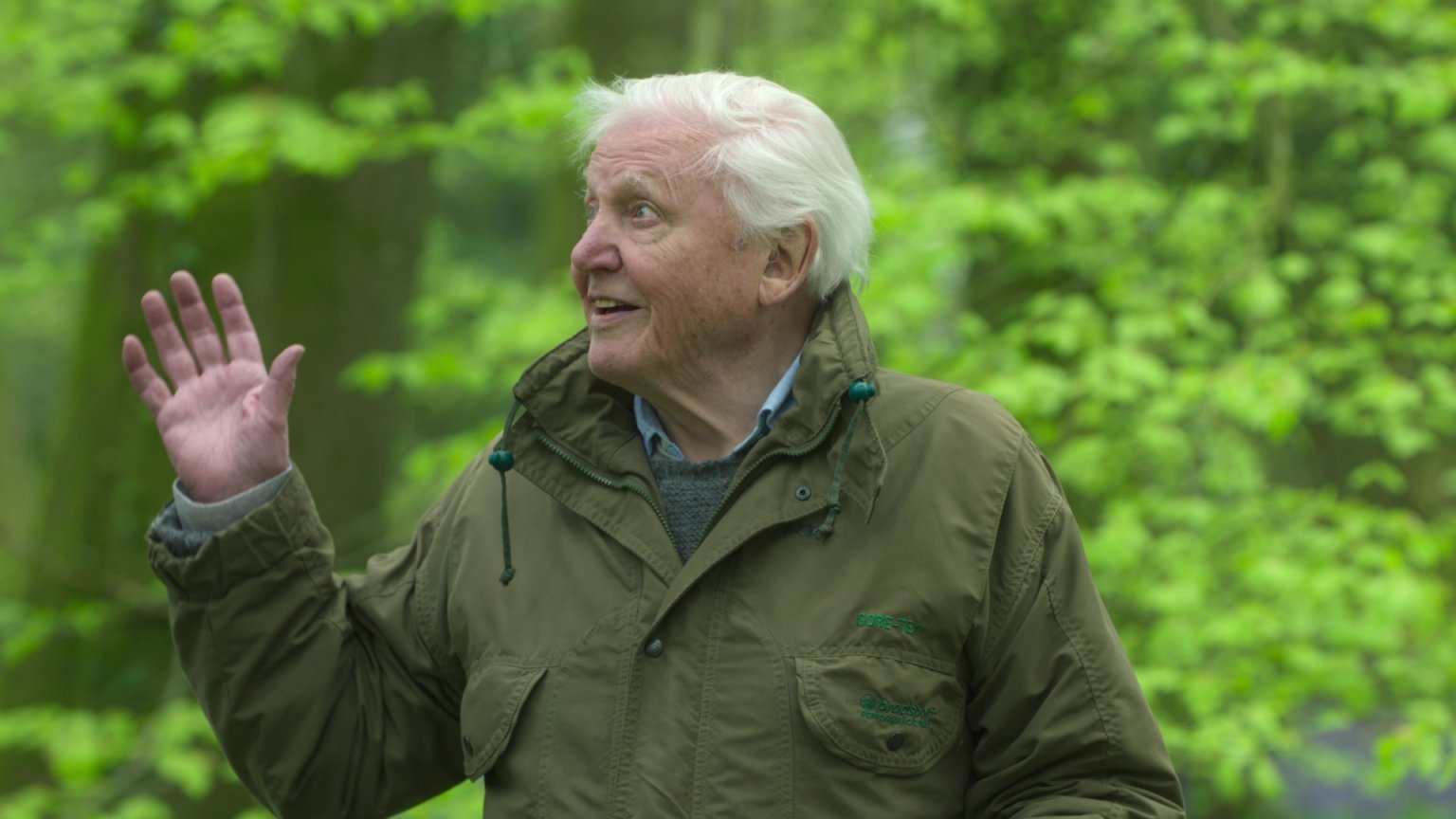 Nieuwste natuurdocuserie met David Attenborough nu te zien op Netflix