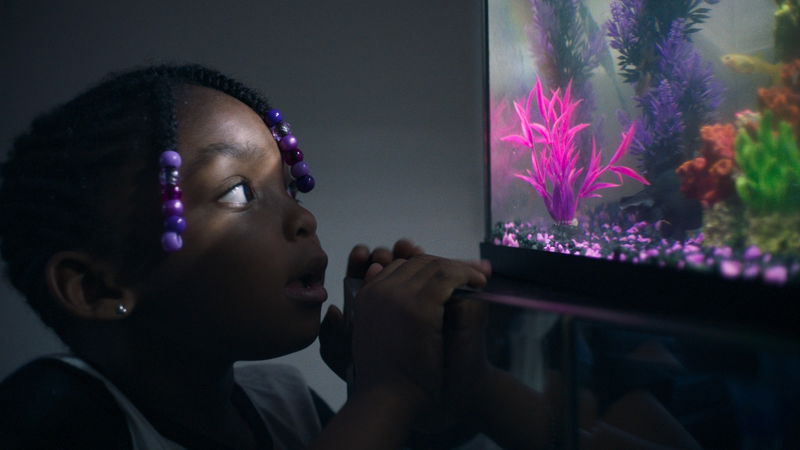 Bejubelde nieuwe docu over dochters van gedetineerde vaders nu te zien op Netflix