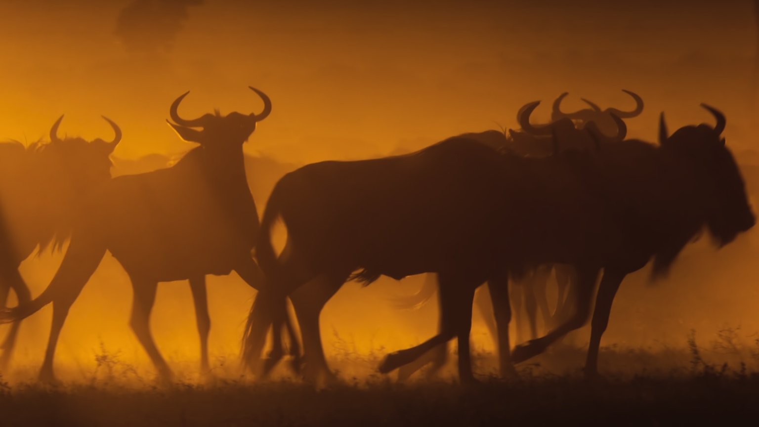 Netflix-abonnees dolblij met de komst van nieuwe intrigerende docuserie: 'Ik hou ervan!'