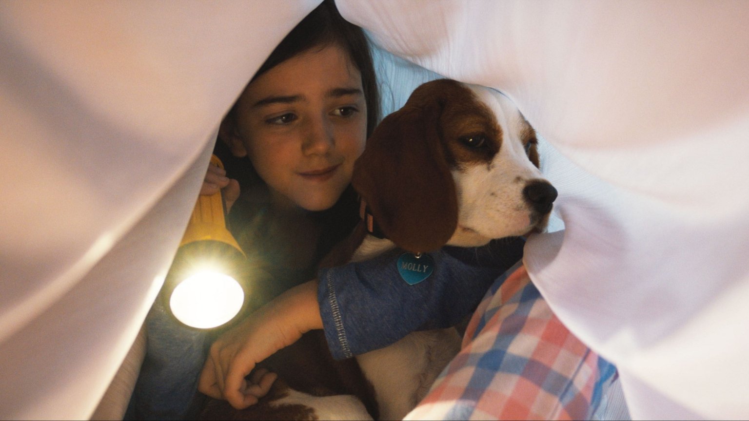 Kijkers houden het niet droog bij deze hondenfilm op Netflix: 'Een emotionele rollercoaster'