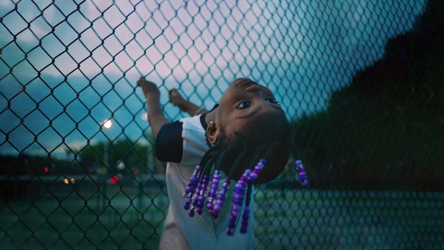 Bekroonde documentaire debuteert op Netflix met 100% Rotten Tomatoes-score