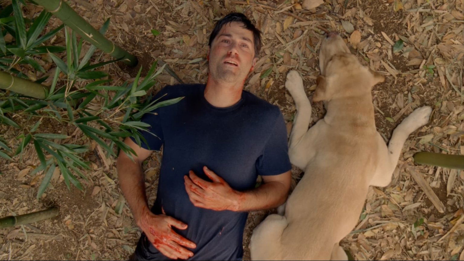Genoten van 'Lost'? Bekijk ook deze 5 mysterieuze series op Netflix