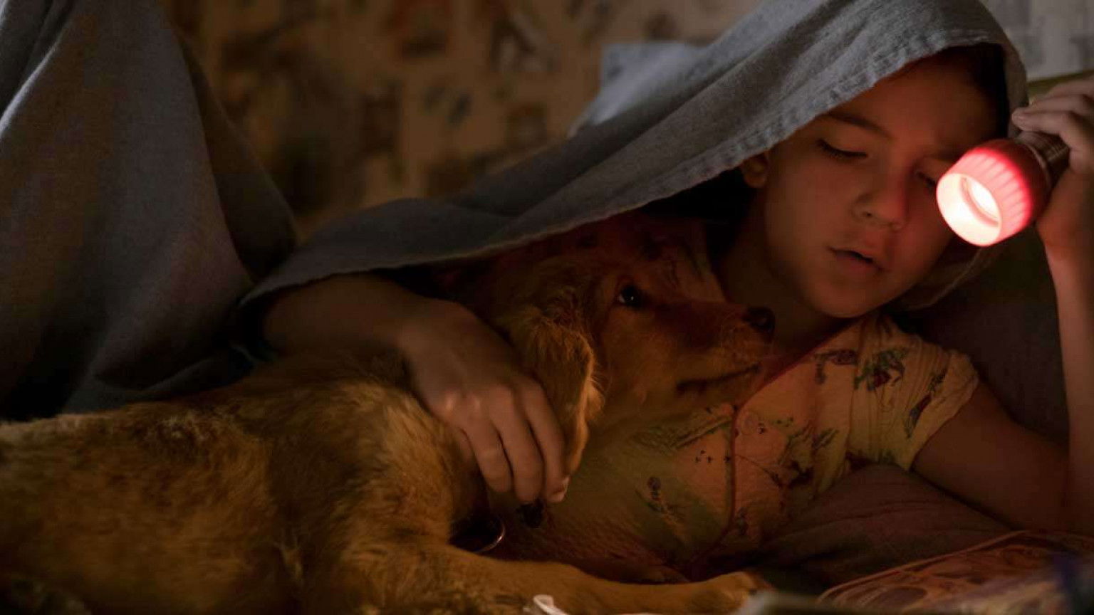 Recensie 'A Dog's Purpose'