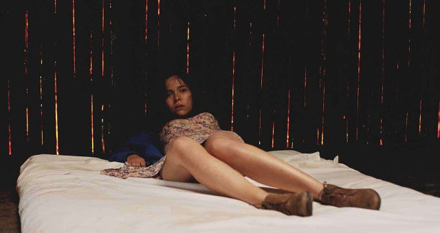 Recensie 'La región salvaje'