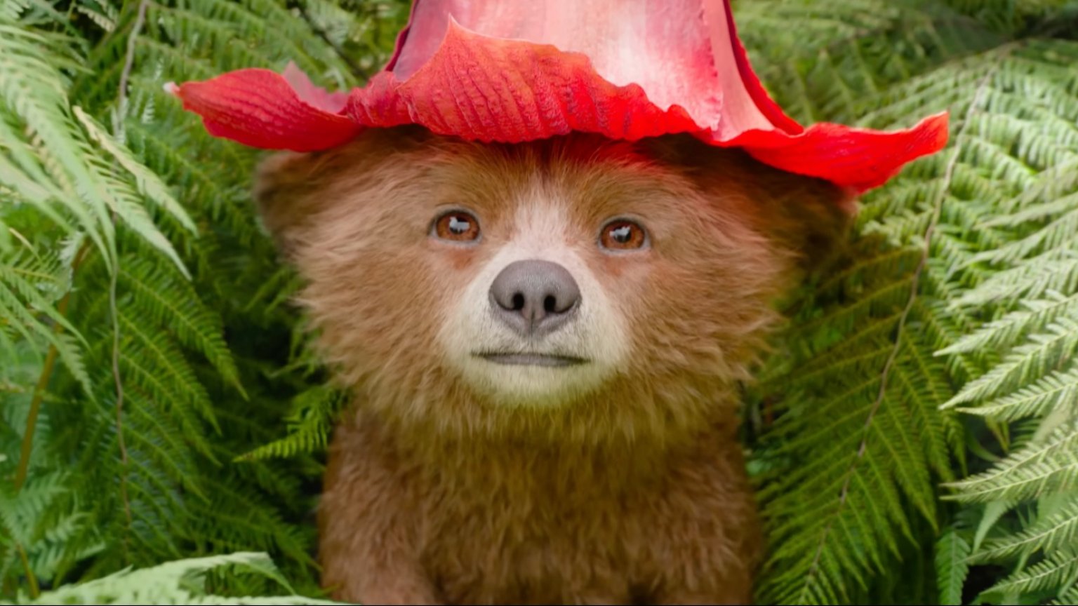 Maak kennis met Baby Paddington in de nieuwe trailer van 'Paddington in Peru'