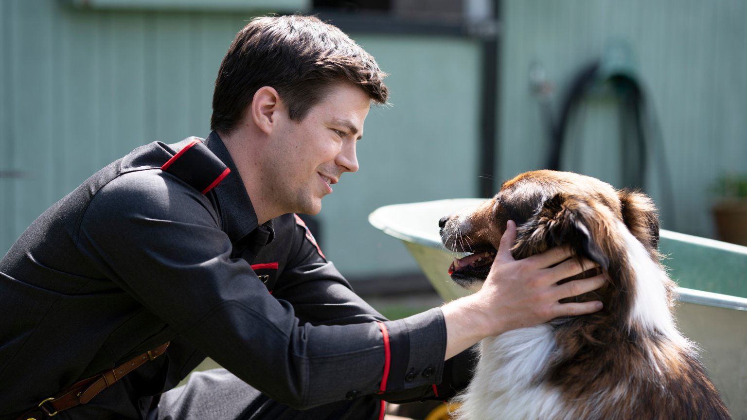 Dierendag vanaf de bank: dit zijn de 5 beste hondenfilms op Netflix