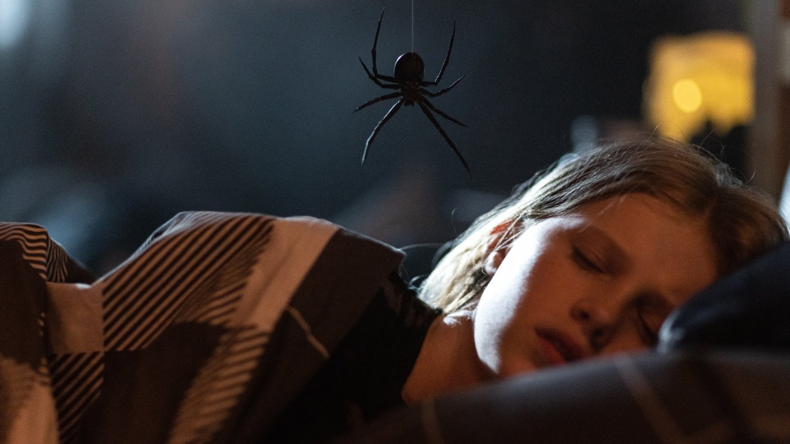 Horrorfilm 'Sting' heeft releasedatum te pakken op Netflix