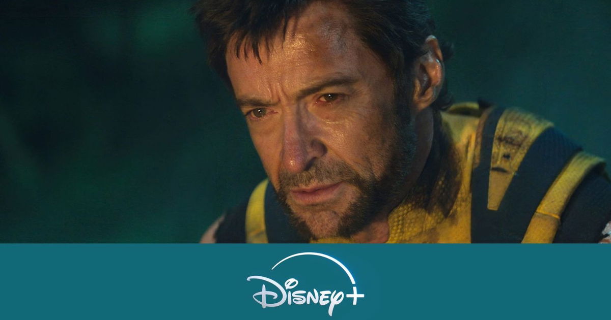 Nieuw op Disney+ de beste nieuwe films & series (week 46, 2024